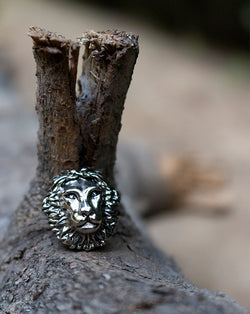 Designer Unisex metal buttons in lion face embossed design-Silver