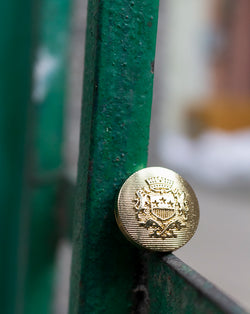 Designer Unisex metal buttons in lion emblem design-Golden