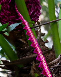 Velvet Paan Scallop Embroidery Lace-Hot Pink